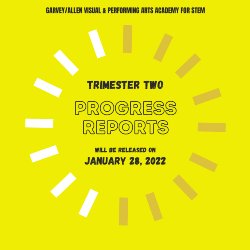 Trimester 2 Progress Report - January 28th
